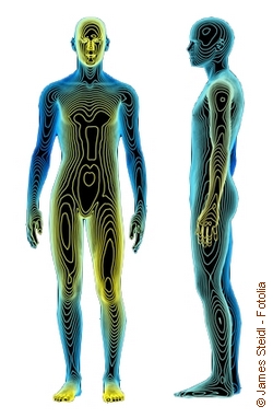 Body Scan