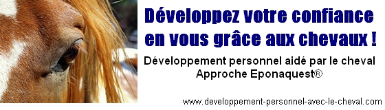 Développez votre confiance en vous grâce au chevaux ! Développez votre confiance en vous grâce au chevaux !
